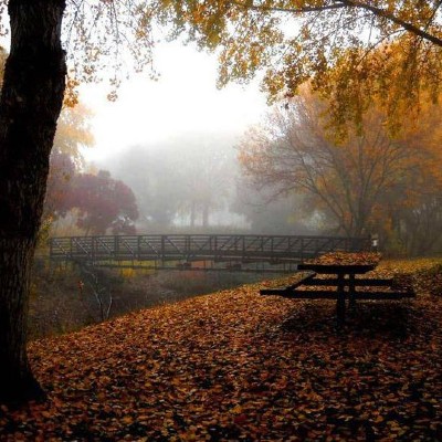 photo of the walking bridge at Contra Loma in the fall