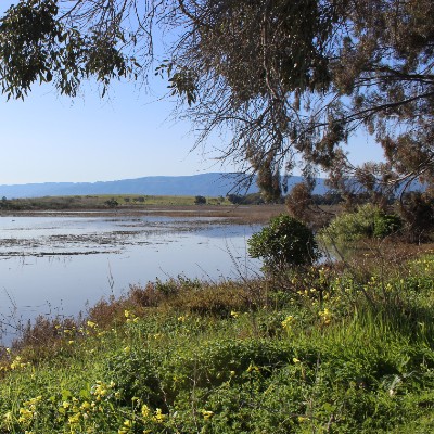 corteva wetlands reserve formerly known as dow wetlands reserve