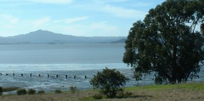 Mount Tamalpais from Point Pinole Regional Shoreline