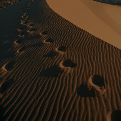 footprints in the sand