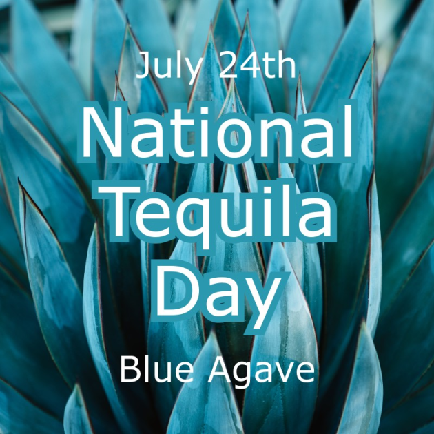 Salud! Celebrating National Tequila Day on July 24th Event Calendar