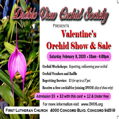 Valentine's Orchid Show & Sale