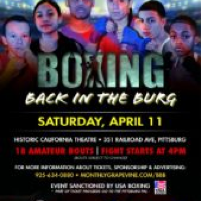 Boxing Back in the Burg