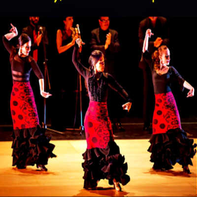 Flamenco Night