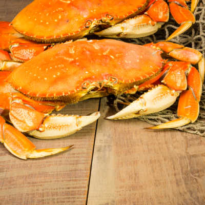 24th Annual Dungeness Crab Party