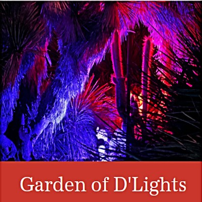 Garden of D'Lights - Bancroft Garden