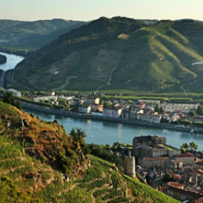 NORTHERN RHONE TASTING