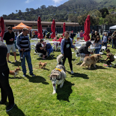 5th Annual WAG Dog Festival