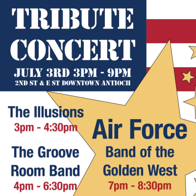 Military Tribute Concert