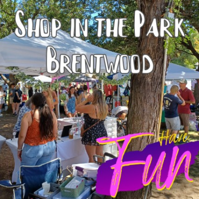 Arts, Crafts, Vendor Fest in the Park