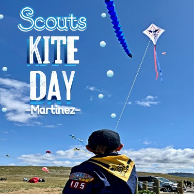 Scouts Kite Day Martinez