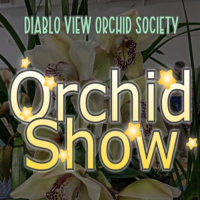 Diablo View Orchid Society Orchid Show and Sale