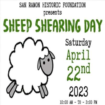 Sheep Shearing