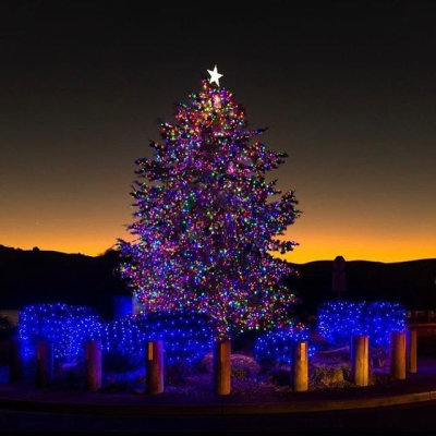Benicia Holiday Open House & Tree Lighting 2023