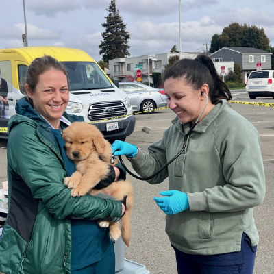 Joybound People & Pets Free Pet Vaccine and Microchip Clinic