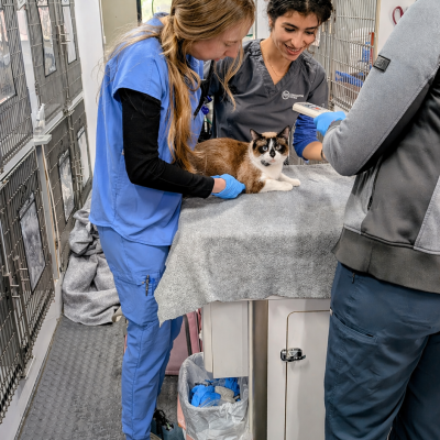 Joybound People & Pets Free Pet Vaccine and Microchip Clinic