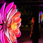 Creative Concord: Illuminated Sculptures