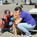 Joybound People & Pets Free Pet Vaccine and Microchip Clinic