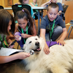Camp Joybound: A Paws-on Experience!