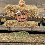 Farm Fall Fest