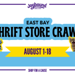 East Bay Thrift Crawl Kick-Off at Joybound Thrift Store & Cat Lounge