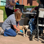 Joybound People & Pets Free Pet Vaccine and Microchip Clinic